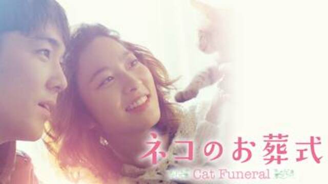 韓国映画 ネコのお葬式を日本語字幕で見れる無料動画配信サービス 韓ドラペン