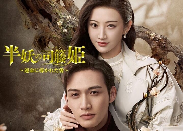 中国ドラマ 半妖の司籐姫全30話を日本語字幕で見れる無料動画配信サービス 日本放送予定やdvdレンタル開始日もチェック 韓ドラペン